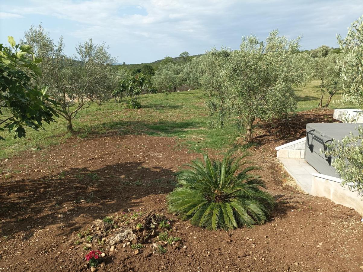 New 2023 Villa Tree Of Life Sveti Petar  Exterior foto