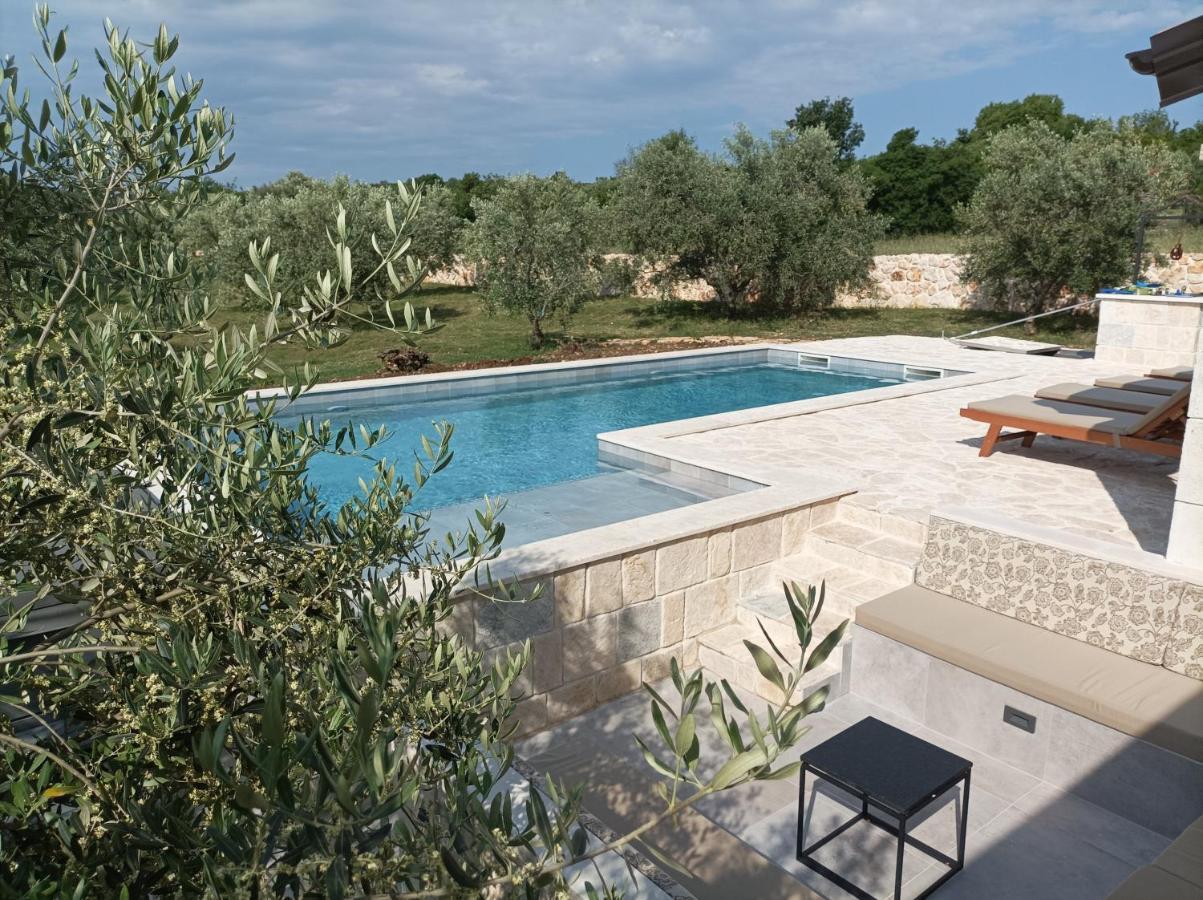 New 2023 Villa Tree Of Life Sveti Petar  Exterior foto