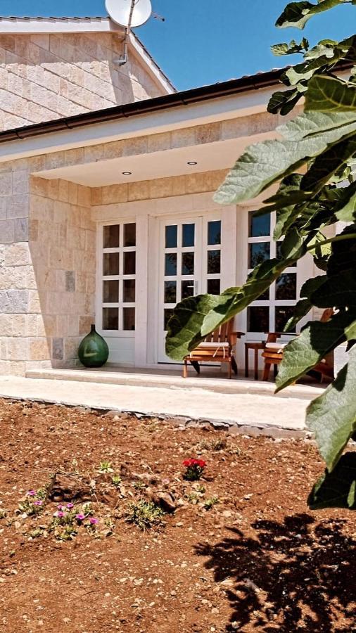 New 2023 Villa Tree Of Life Sveti Petar  Exterior foto