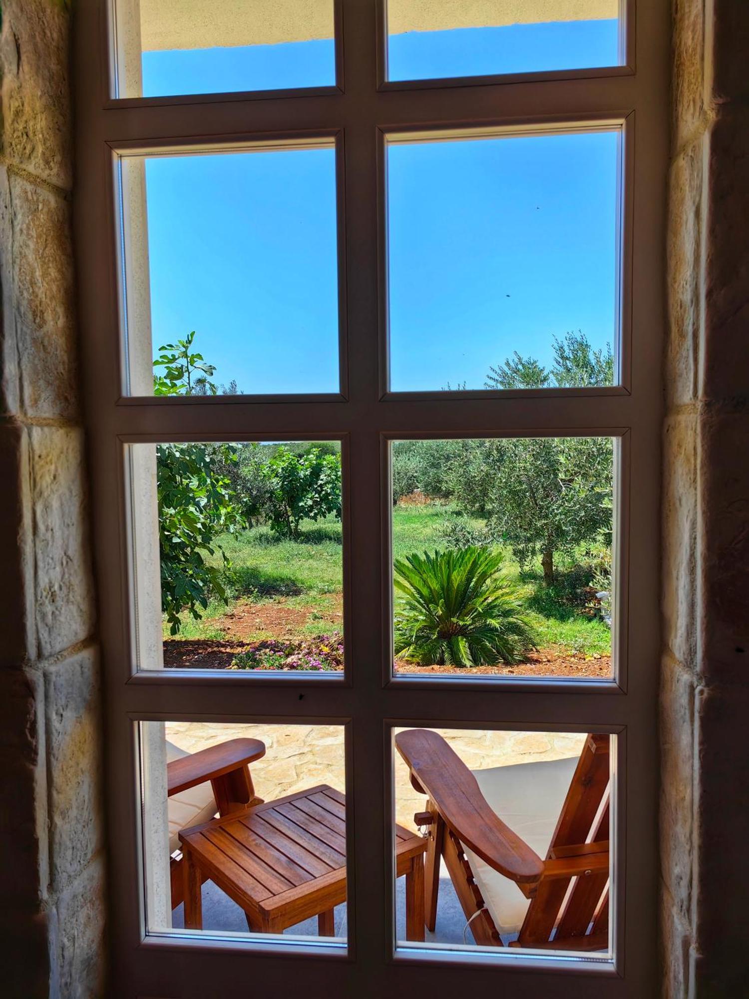 New 2023 Villa Tree Of Life Sveti Petar  Exterior foto